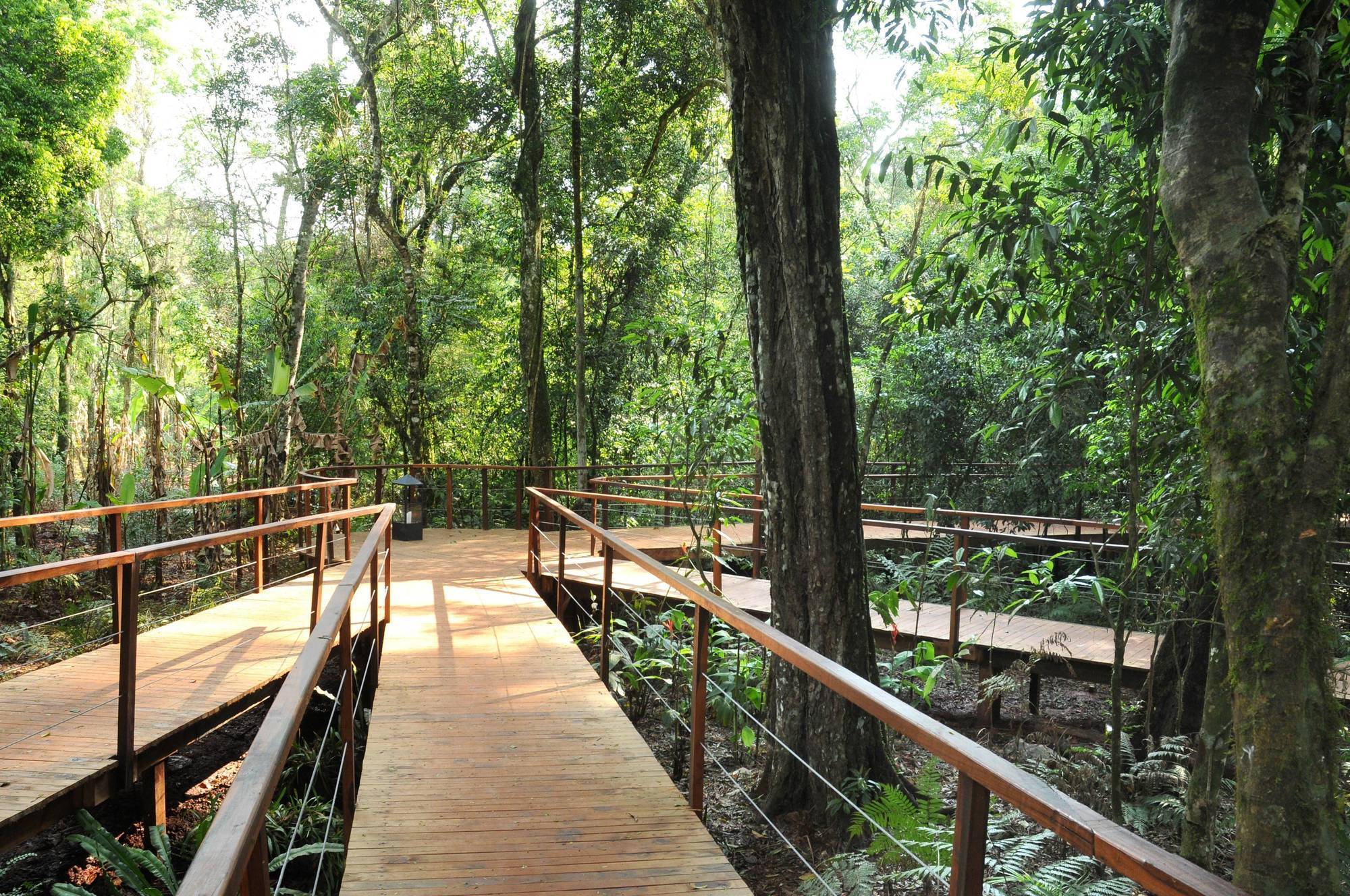 La Reserva Virgin Lodge Puerto Iguazú Exteriör bild